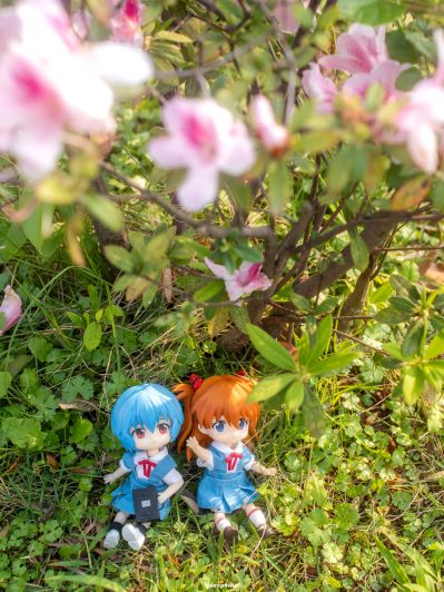 粘土娃 服装套组 新世纪福音战士 第3新东京市立第一中学校服：女孩