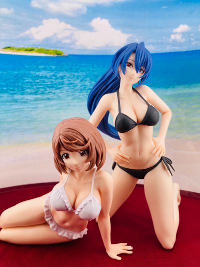 香格里拉边境动画版  -Celestial vivi- 角色特辑