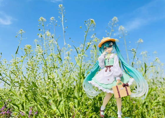 Fashion初音未来 乡村时装