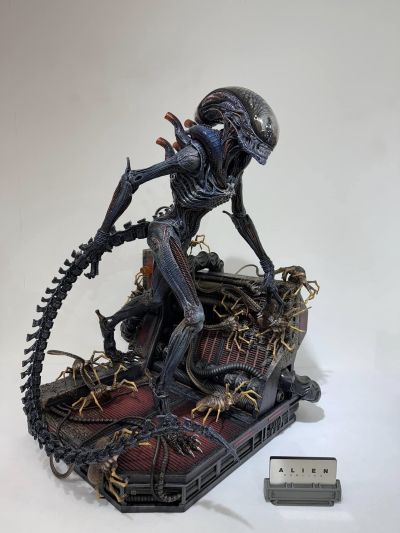 展览馆线XL 异形3 异形狗