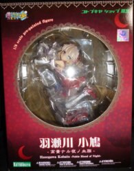 我的朋友很少NEXT 羽濑川小鸠 -高贵夜之血族-