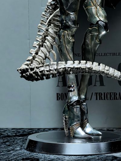 BC 凶猛少女Fierce Girls系列1/6可动人偶王城守卫AAGA-01