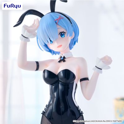 BiCute Bunnies Re：从零开始的异世界生活 雷姆·bicolor