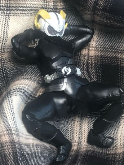 S.H.Figuarts   假面骑士娜猫 登录形态+登录形态配件包