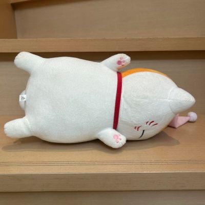 夏目友人帐 晚安 猫咪老师