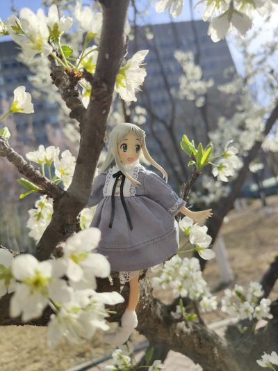 BEACH QUEENS 未闻花名 本間芽衣子（面码） 