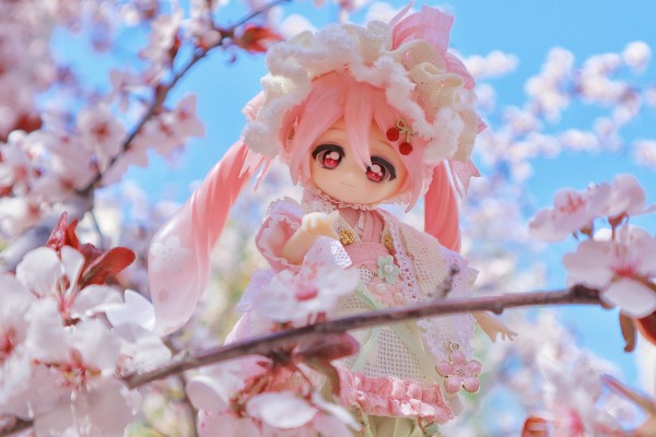 良笑赏 樱花未来2024 B奖 粘土人#2331-a 樱花未来（水手服）