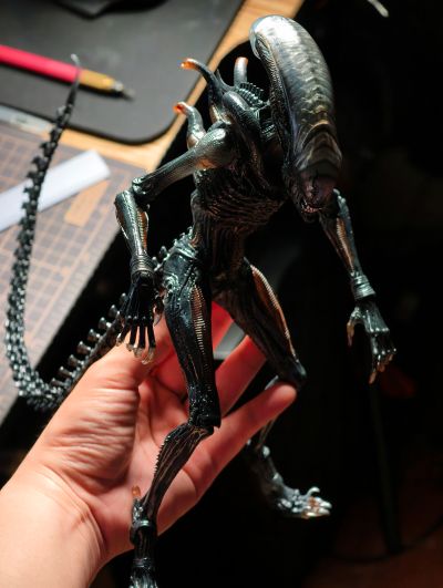 异形:夺命舰 套装