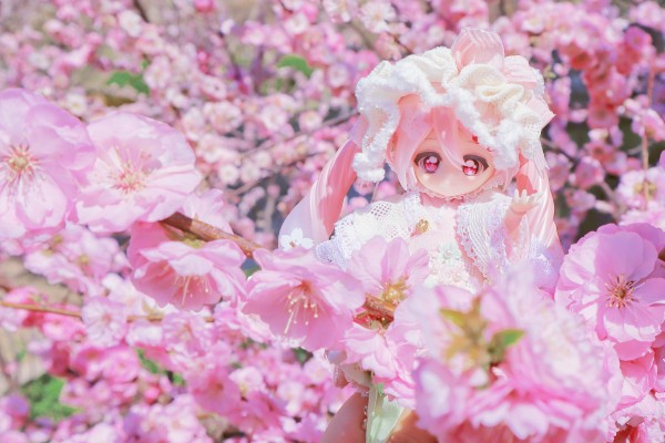 良笑赏 樱花未来2024 B奖 粘土人#2331-a 樱花未来（水手服）