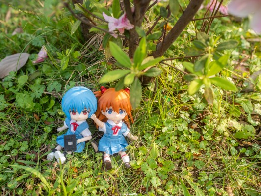 粘土娃 服装套组 新世纪福音战士 第3新东京市立第一中学校服：女孩