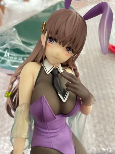 圣剑学院的魔剑使 艾尔菲涅·费雷特 花紫的兔女郎+走光系统