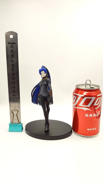 DXF 手办  Fate/Zero 刺客