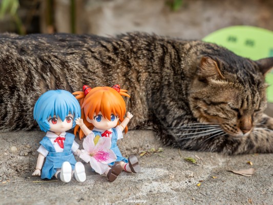 粘土娃 服装套组 新世纪福音战士 第3新东京市立第一中学校服：女孩