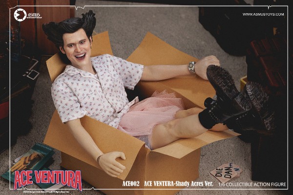 神探飞机头  疯人院版