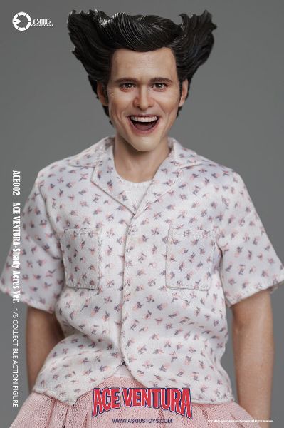 神探飞机头  疯人院版