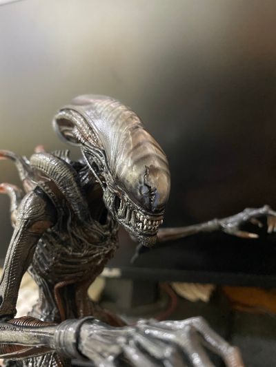 异形:夺命舰 异形 7英寸可动人偶