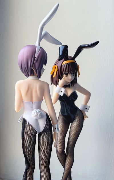 BiCute Bunnies 凉宫春日的忧郁  长门有希