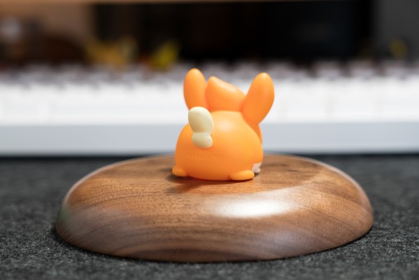 宝可梦Kids  帕底亚地区篇