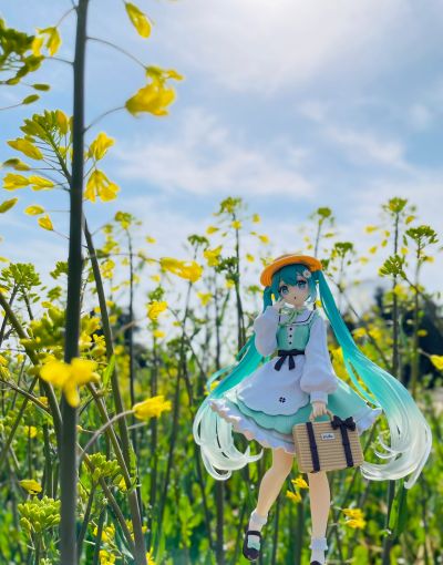 Fashion初音未来 乡村时装