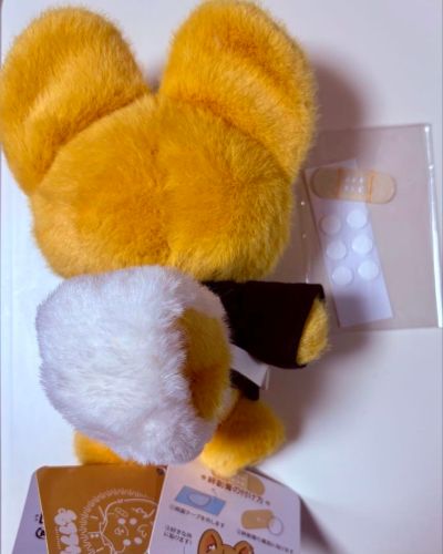 毛绒绒 重生之道 佐野万次郎