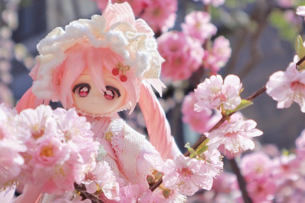 良笑赏 樱花未来2024 B奖 粘土人#2331-a 樱花未来（水手服）