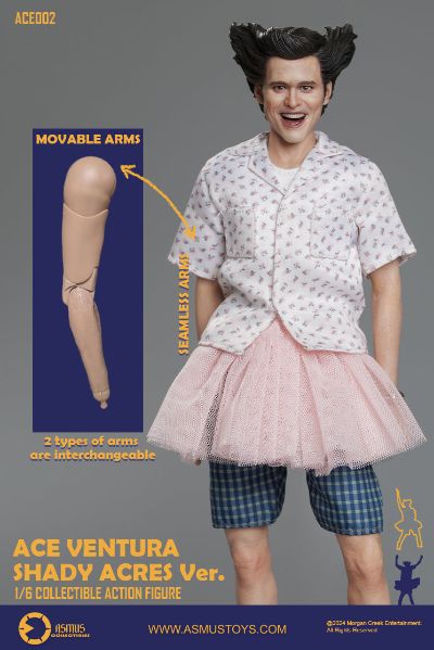 神探飞机头  疯人院版