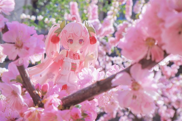 良笑赏 樱花未来2024 B奖 粘土人#2331-a 樱花未来（水手服）