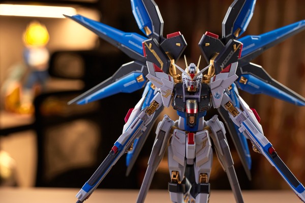 POP 航海王 “Evolutionary History“ 娜美