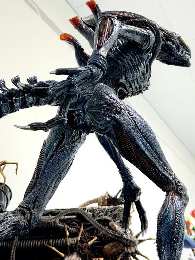 展览馆线XL 异形:夺命舰 焦灼异形