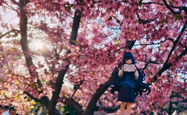 VIVIgnette 超超超超超喜欢你的100个女朋友 好本静