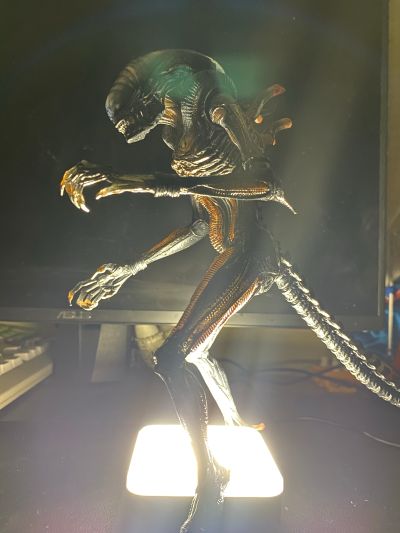 异形:夺命舰 异形 7英寸可动人偶