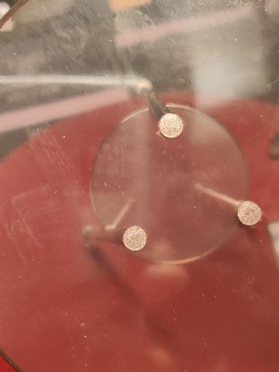 明日方舟 W  盛礼