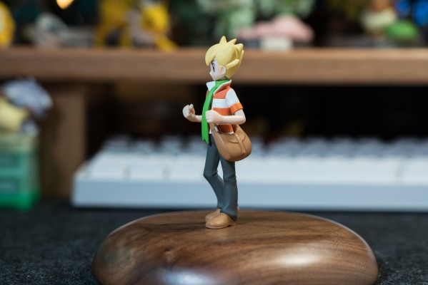 宝可梦比例世界 神奥地区 阿驯+树林龟+姆克鹰