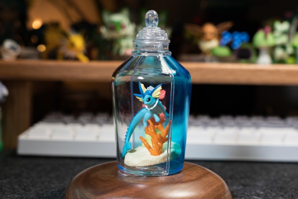 宝可梦 水瓶系列 相逢岸边美景