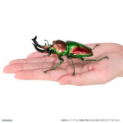 生物大图鉴 锹甲10 树皮底座（小号）套装