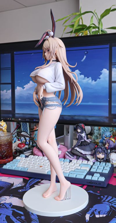 来自异世界的精灵少女 拉比