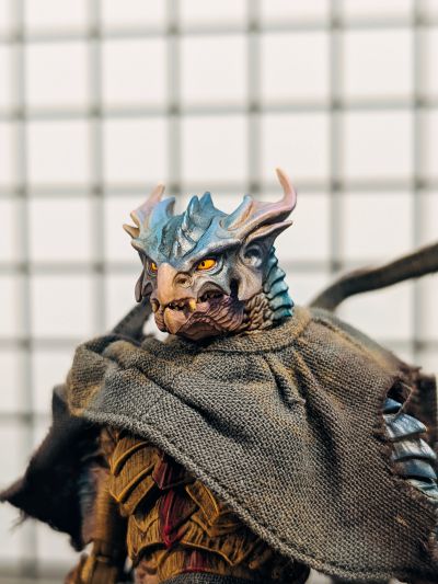 末裔 最初的回响者 阿尔伽 常态