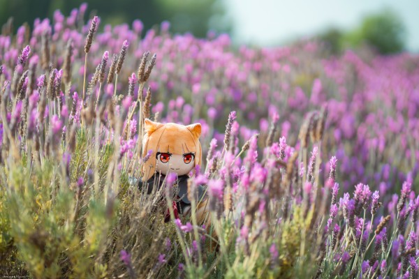 狼与香辛料 merchant meets the wise wolf 大尺寸40公分毛绒玩偶 赫萝