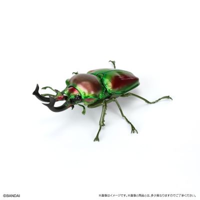 生物大图鉴 锹甲10 树皮底座（小号）套装