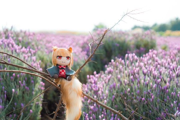 狼与香辛料 merchant meets the wise wolf 大尺寸40公分毛绒玩偶 赫萝