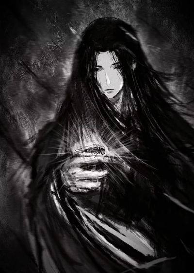 进化生物大图鉴 蝉01 展示架套装