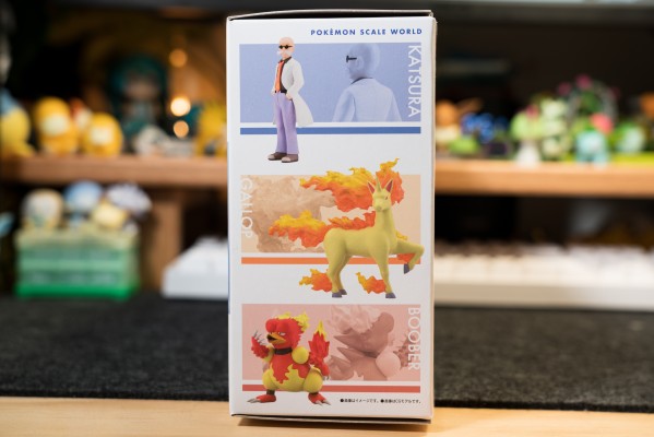 宝可梦比例世界 关都地区 夏伯+烈焰马+鸭嘴火兽