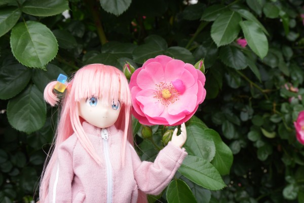 PureNeemo角色系列 No.160  孤独摇滚！ 后藤独