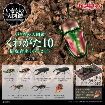 生物大图鉴 锹甲10 树皮底座（小号）套装