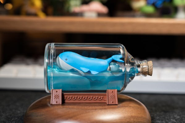 宝可梦 水瓶系列 相逢岸边美景