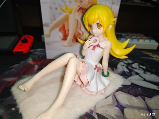 西尾维新动画片项目 物语系列 -悠闲时光-忍野忍