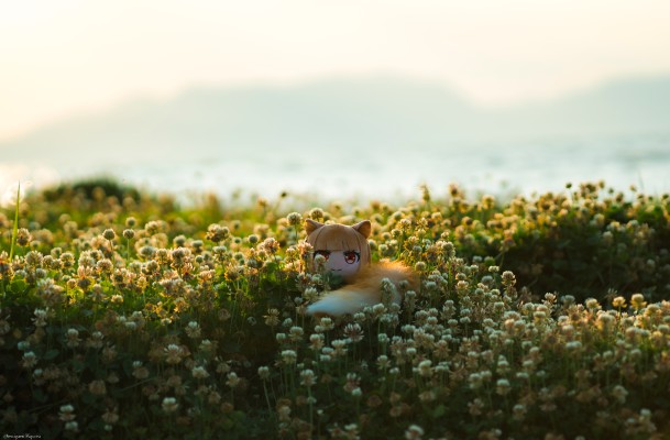 狼与香辛料 merchant meets the wise wolf 大尺寸40公分毛绒玩偶 赫萝