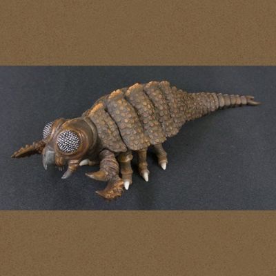 东宝大怪兽系列 拉顿(1956版)