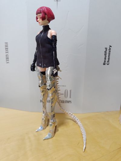 BC 凶猛少女Fierce Girls系列1/6可动人偶王城守卫AAGA-01