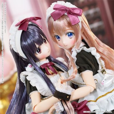 POD051-HVR Colorful Dreamin'/仙境里的叶鸟心音1.1 （黑醋栗巧克力）